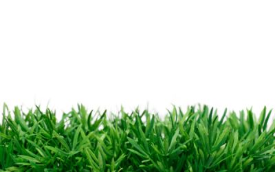 Synthetic grass uses